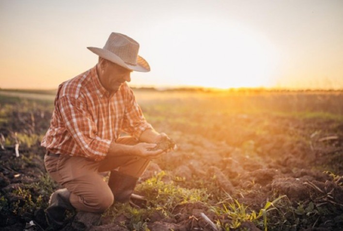 Gestão de risco no campo: estratégias para manter a produção diante de adversidades