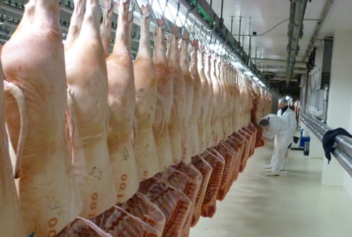 Exportação de carne suína soma 84,1 mil toneladas até terceira semana de junho de 2025