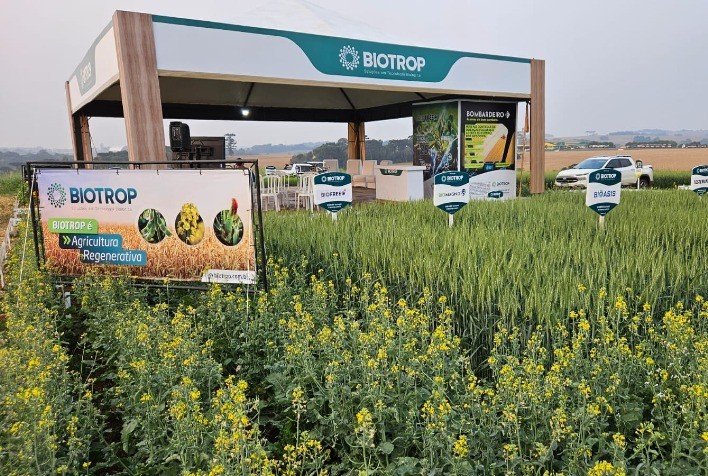 Cultivo de canola no Sul cresce 62% e insumos biológicos impulsionam produtividade