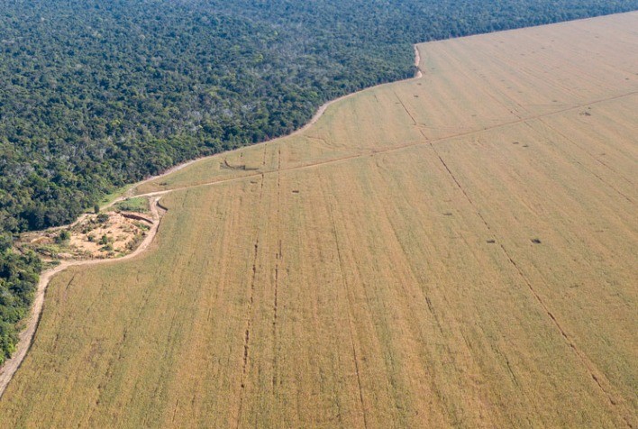 Sistema FAEP alerta: produtores rurais não são obrigados a vender terras em disputa no Oeste do Paraná