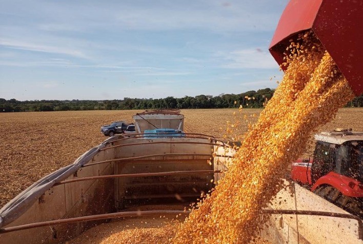 Produtores do Tocantins iniciam colheita da segunda safra de milho com expectativa de produção superior a 2,3 milhões de toneladas