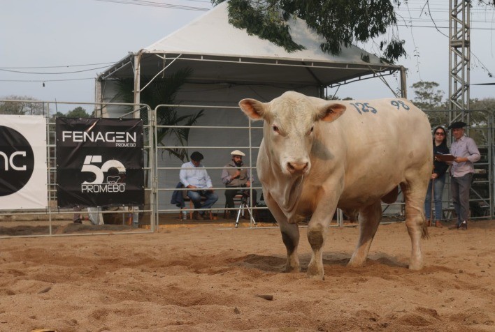 Fenagen Promebo registra aumento de 40% nas inscrições para segunda edição