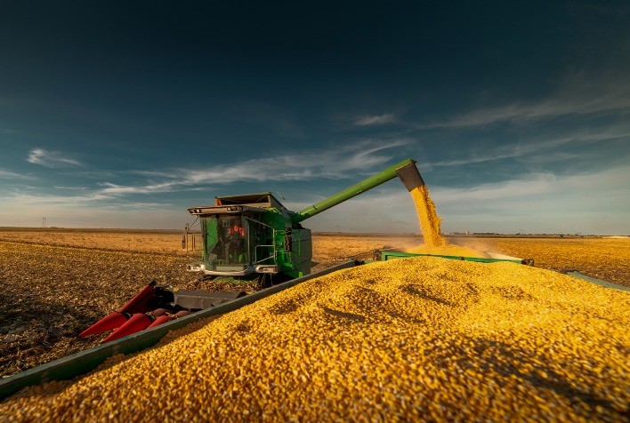 DATAGRO eleva previsão de milho para 134 mi t e indica safra recorde de soja no ciclo 2024/25