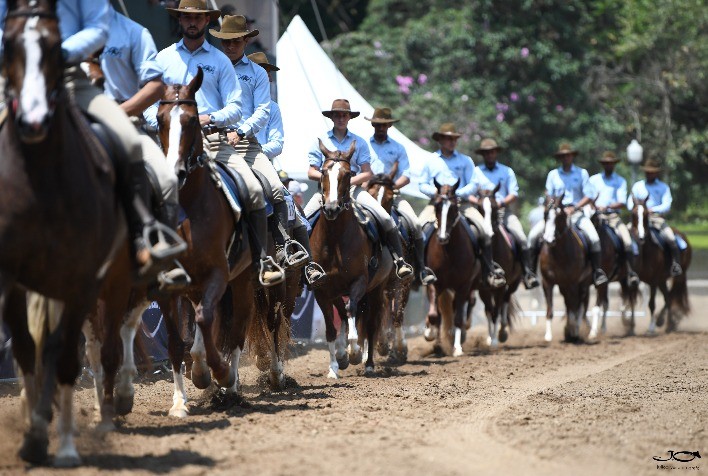 47ª Exposição Nacional do Cavalo Mangalarga será realizada em julho de 2025 no Jockey Club de São Paulo