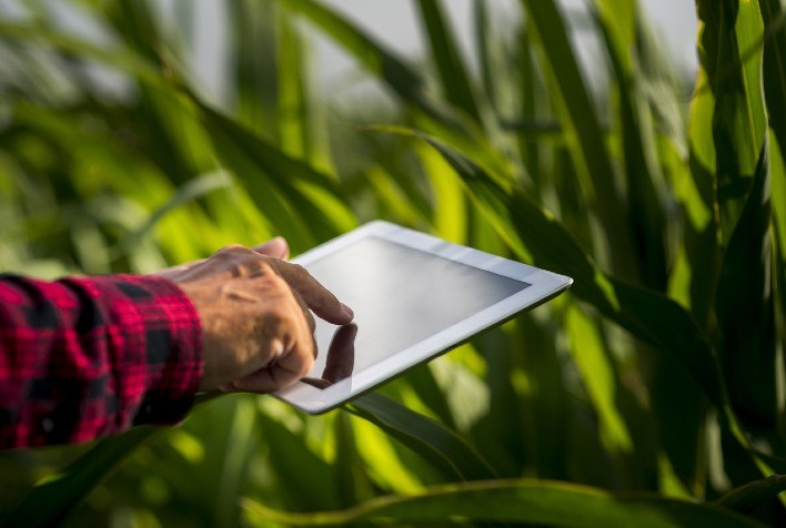 Crédito no agronegócio supera R$ 1 trilhão e impulsiona nova geração de investidores