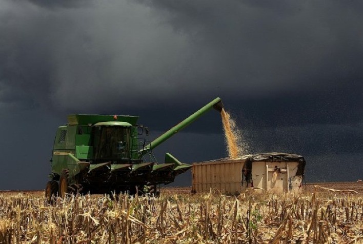 Chuva atrasa colheita da safrinha 2025, que chega a 18% no Centro-Sul, aponta AgRural