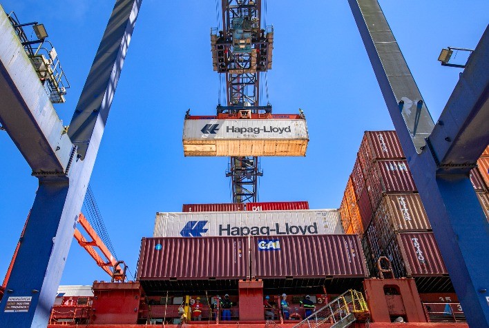 Paranaguá lidera exportações brasileiras de frango com 44% do volume total