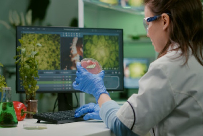 Biodiversidade nordestina impulsiona cosméticos e fármacos sustentáveis: inovação da Universidade Tiradentes ganha patentes e fortalece comunidades