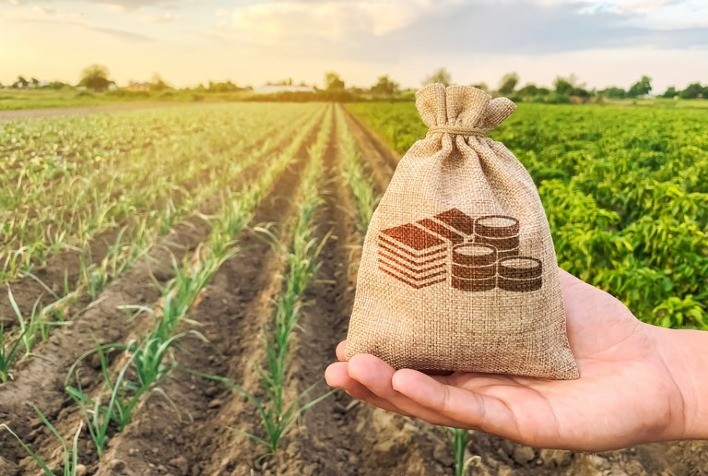 Juros altos no Plano Safra 2024/25 preocupam setor de proteínas animais e podem frear investimentos no campo