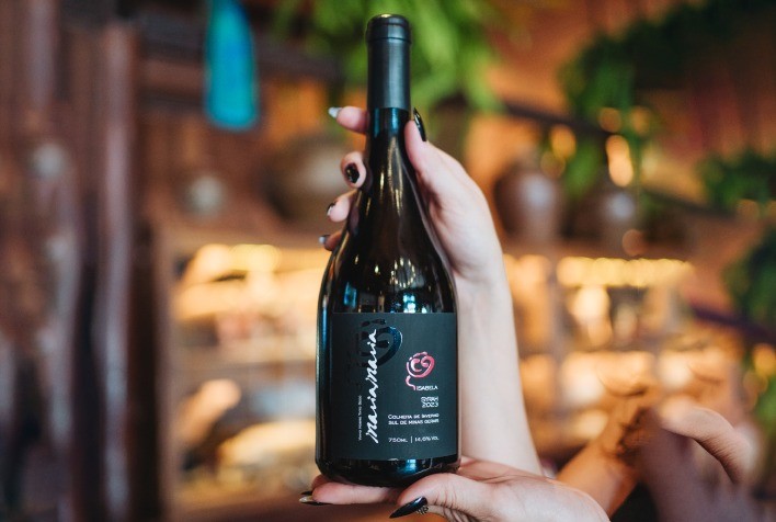 Vinho mineiro faz história: Isabela Syrah 2023 conquista ouro e 96 pontos no Decanter World Wine Awards 2025