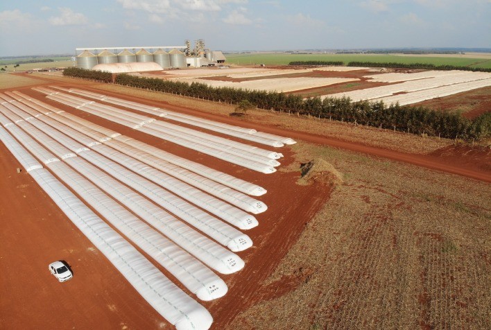 Falta de armazéns preocupa produtores de milho em Mato Grosso durante avanço da colheita