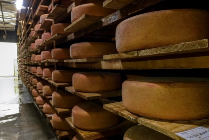 Queijo artesanal de SP conquista mercado dos EUA com apoio do Mapa