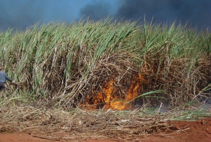 São Paulo restringe queima da palha da cana durante estiagem e impõe novas regras ao setor sucroenergético