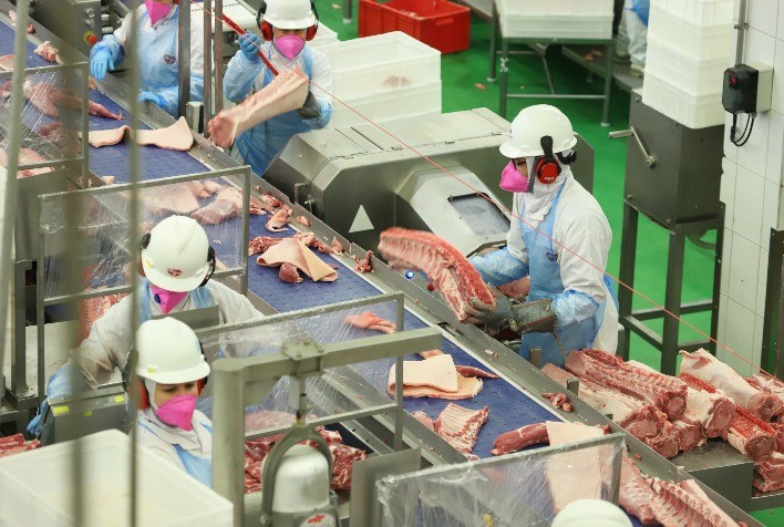 Demanda aquecida e exportações fortes impulsionam preços da carne suína em junho