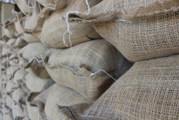 Exportações globais de café verde crescem 3,5% em maio, impulsionadas pelo robusta