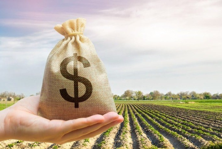 Simers manifesta preocupação com cortes no Plano Safra 2025/2026 e ressalta avanço no Pronamp