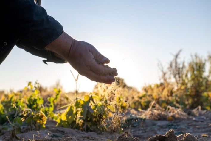 Programa ReSolu, da Cargill, alcança 85 mil hectares cadastrados e impulsiona agricultura regenerativa em cinco estados