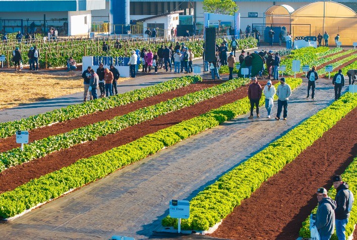 Open Field Day 2025 reúne cerca de 4.700 visitantes e consolida papel da Agristar na inovação para a horticultura