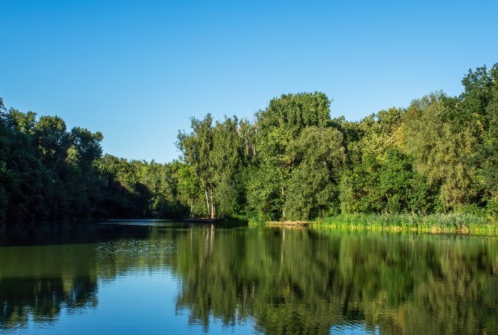 Reflorestar neutraliza contrato com créditos de carbono e reforça compromisso ESG