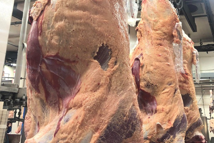 Demanda fraca pressiona mercado do boi gordo e derruba preços da carne com osso no atacado