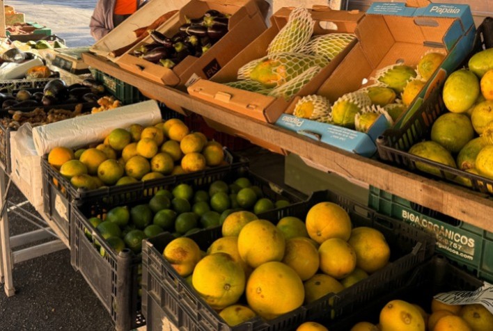 Semana do Alimento Orgânico: Ministério da Agricultura Ouve Consumidores para Esclarecer Dúvidas Sobre Produtos Orgânicos