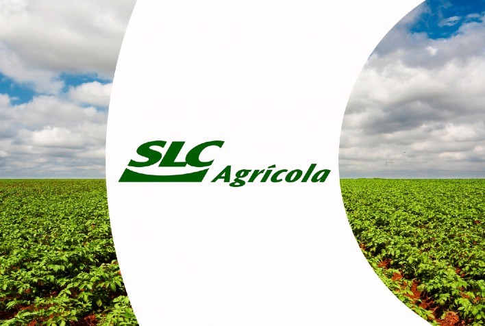SLC Agrícola projeta aumento na produtividade do milho para safra 2024/25 e valoriza terras em 7,1%