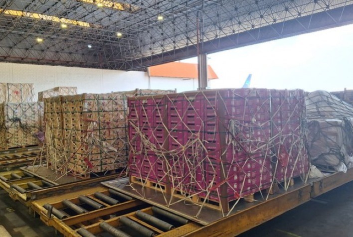 Aumento de tarifas nos EUA preocupa setor de frutas brasileiro e impacta exportações