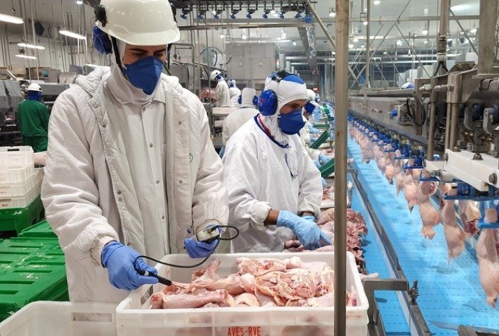 Exportações de carne sob ameaça: tarifa dos EUA e proposta de privatização das inspeções preocupam setor