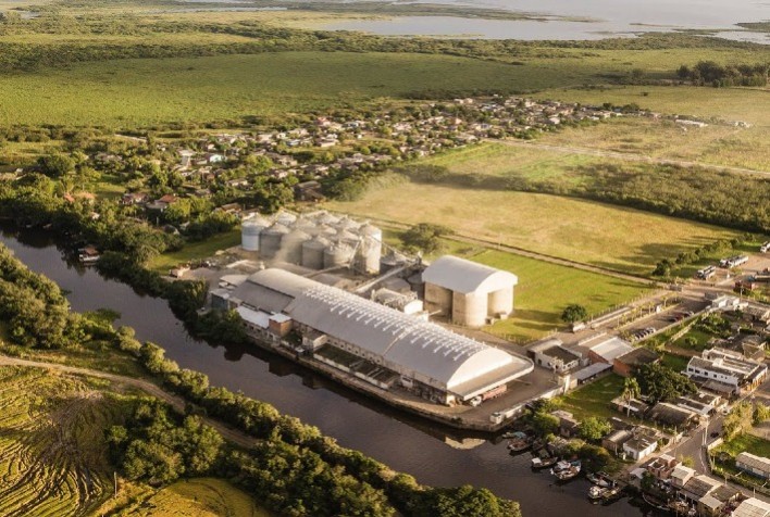 Cooperativa gaúcha estreia nas exportações de arroz e impulsiona o mercado regional