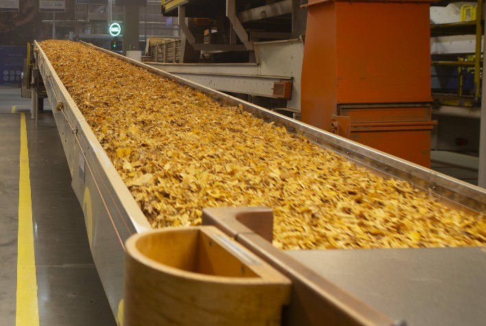 Brasil exporta mais de US$ 1,3 bilhão em tabaco no primeiro semestre e mantém liderança global