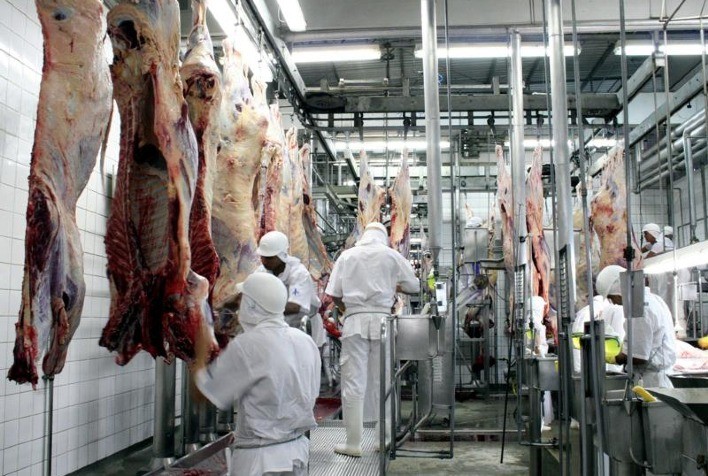 Frigoríficos de Mato Grosso exportam mais de 370 mil toneladas de carne no 1º semestre
