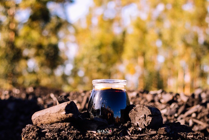 Bio-óleo 100% renovável do Vale do Jequitinhonha impulsiona descarbonização da indústria brasileira