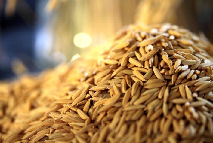 Demanda aquecida sustenta alta nos preços do arroz pela terceira semana seguida