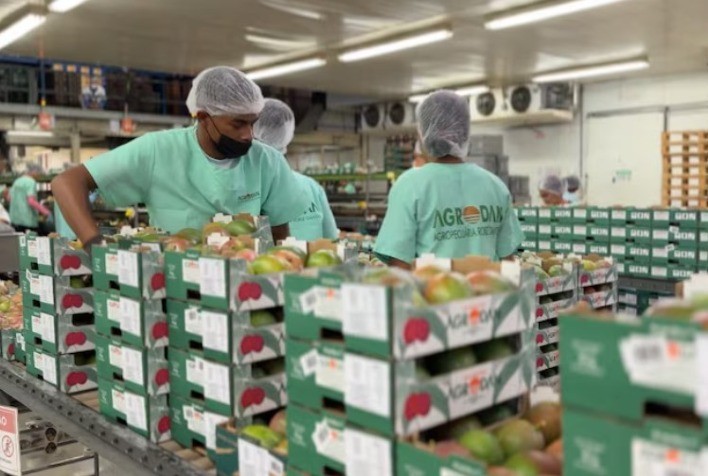 Valexport alerta para impacto da tarifa dos EUA sobre exportações de frutas do Vale do São Francisco