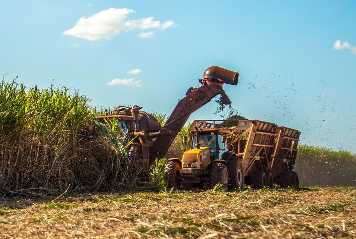 Justiça de SP autoriza usinas a revisarem ICMS pago sobre etanol hidratado em 2023