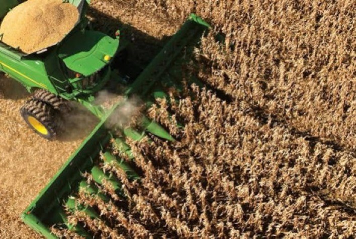 Colheita do milho avança nas regiões da Cocamar com boas produtividades, apesar de geadas pontuais