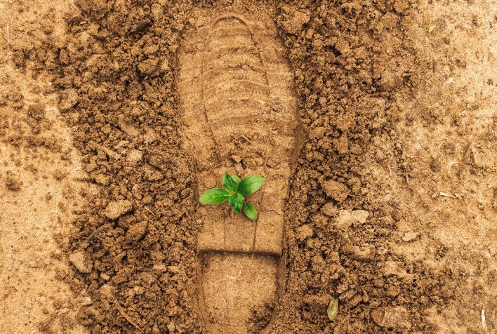 Projeto de Lei do Licenciamento Ambiental avança e mantém proteções do Código Florestal, afirma especialista