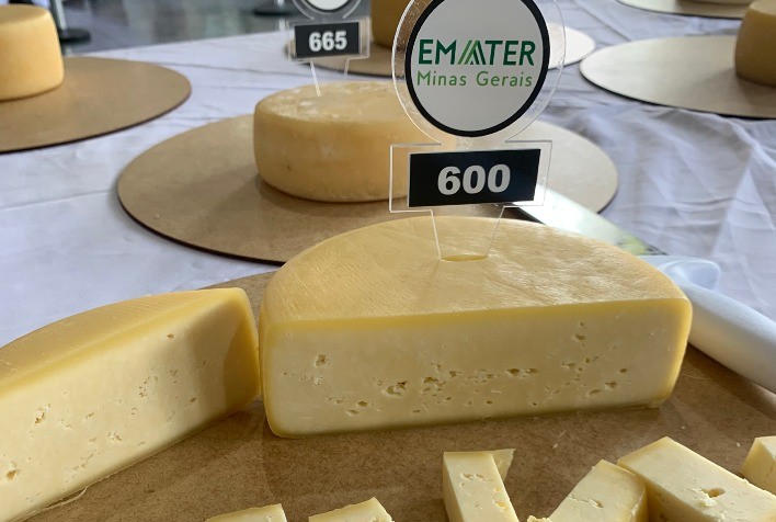Inscrições abertas para escolha dos melhores Queijos Artesanais de Minas Gerais em 2025