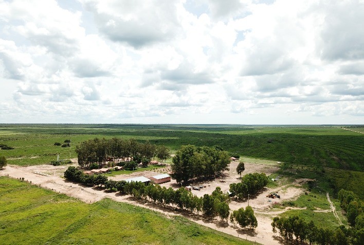 BrasilAgro vende Fazenda Preferência, na Bahia, por R$ 141,4 milhões e garante retorno anual de 9,3%