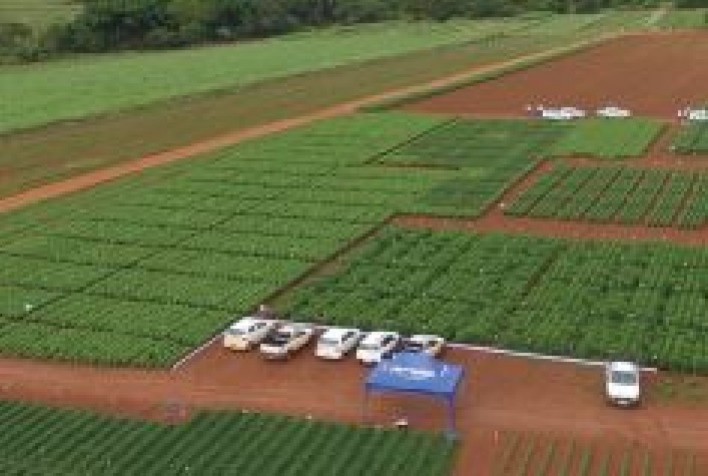 Oxiquímica destaca tecnologias inovadoras em proteção de plantas no Congresso Brasileiro de Soja 2025