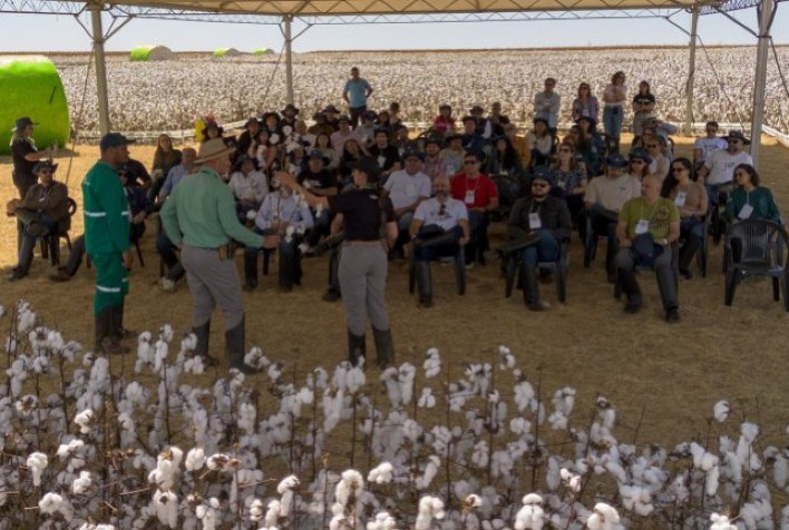 Cotton Trip 2025 promove imersão na cadeia do algodão e fortalece imagem sustentável da fibra brasileira