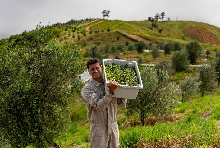 Azeite mineiro é eleito o melhor do Brasil e o terceiro melhor do mundo em premiação internacional