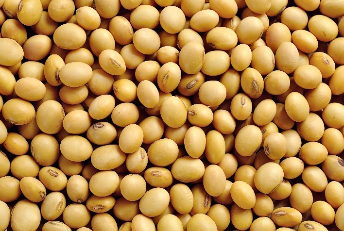 IHARA apresenta tecnologias inovadoras para aumentar produtividade no campo durante a Coopercitrus Expo 2025