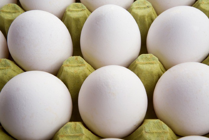 Setor de ovos acelera agenda sustentável para atender novas demandas dos consumidores