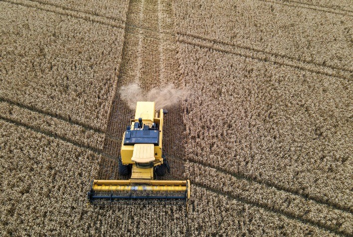 Paraná conclui plantio de trigo em 833,4 mil hectares com expectativa de safra 16% maior