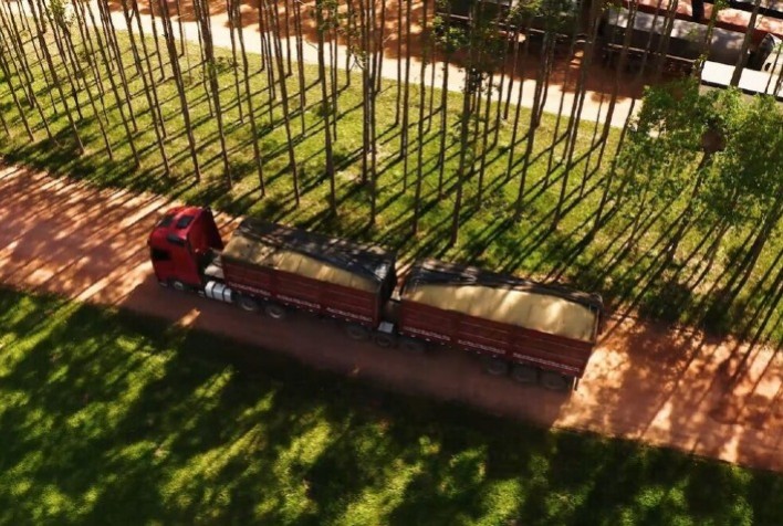 Fretes sobem no Maranhão com fim da colheita da soja, e Açailândia lidera embarques do grão