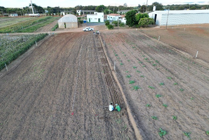 Biotrop fortalece agricultura sustentável em parceria com a Fazenda Modelo Paulo Mizote, na Bahia