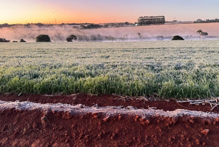 Produtores rurais precisam se preparar para possíveis cortes em incentivos fiscais e seguro rural