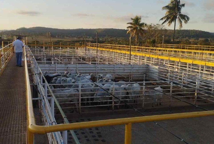 Ramax-Group amplia atuação com dois novos frigoríficos focados em exportação de carne bovina
