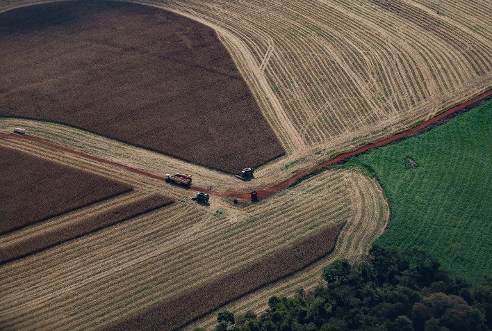 Paraná lidera crescimento econômico no Brasil nos primeiros cinco meses de 2025